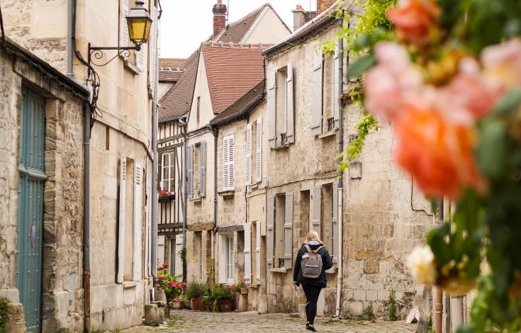 Louison Pignon Centre historique Senlis