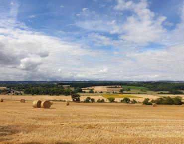 St_Martin_le_Noeud Campagne Paysage
