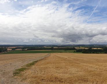 St_Martin_le_Noeud_Campagne_Paysage_2022©VisitBeauvais (2)