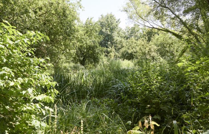 Talmontiers_Jardin du naturaliste_©Laurent MAYEUX (4)