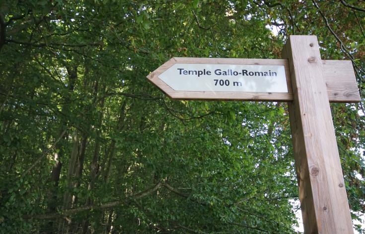 TempleGallo-Romain_Ognon