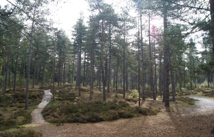 Visite prépa sentier_RM