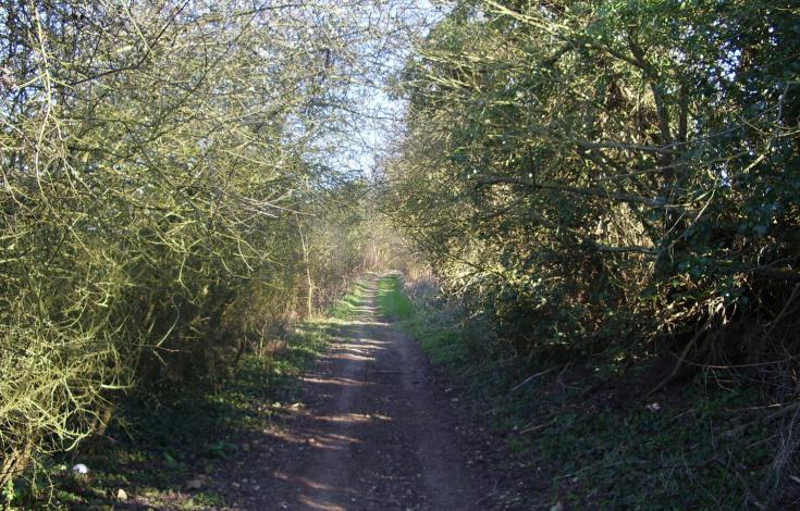 Voies_Romaines_Paillart