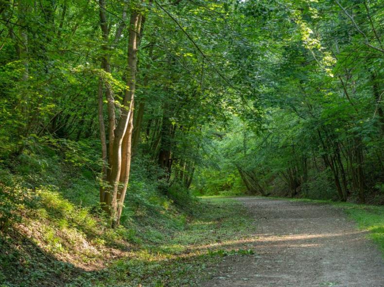 X.RENOUX_20_05_Pierrefonds