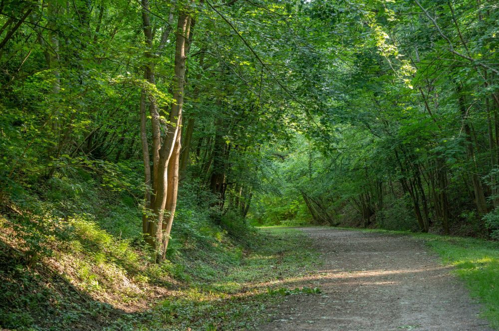 X.RENOUX_20_05_Pierrefonds