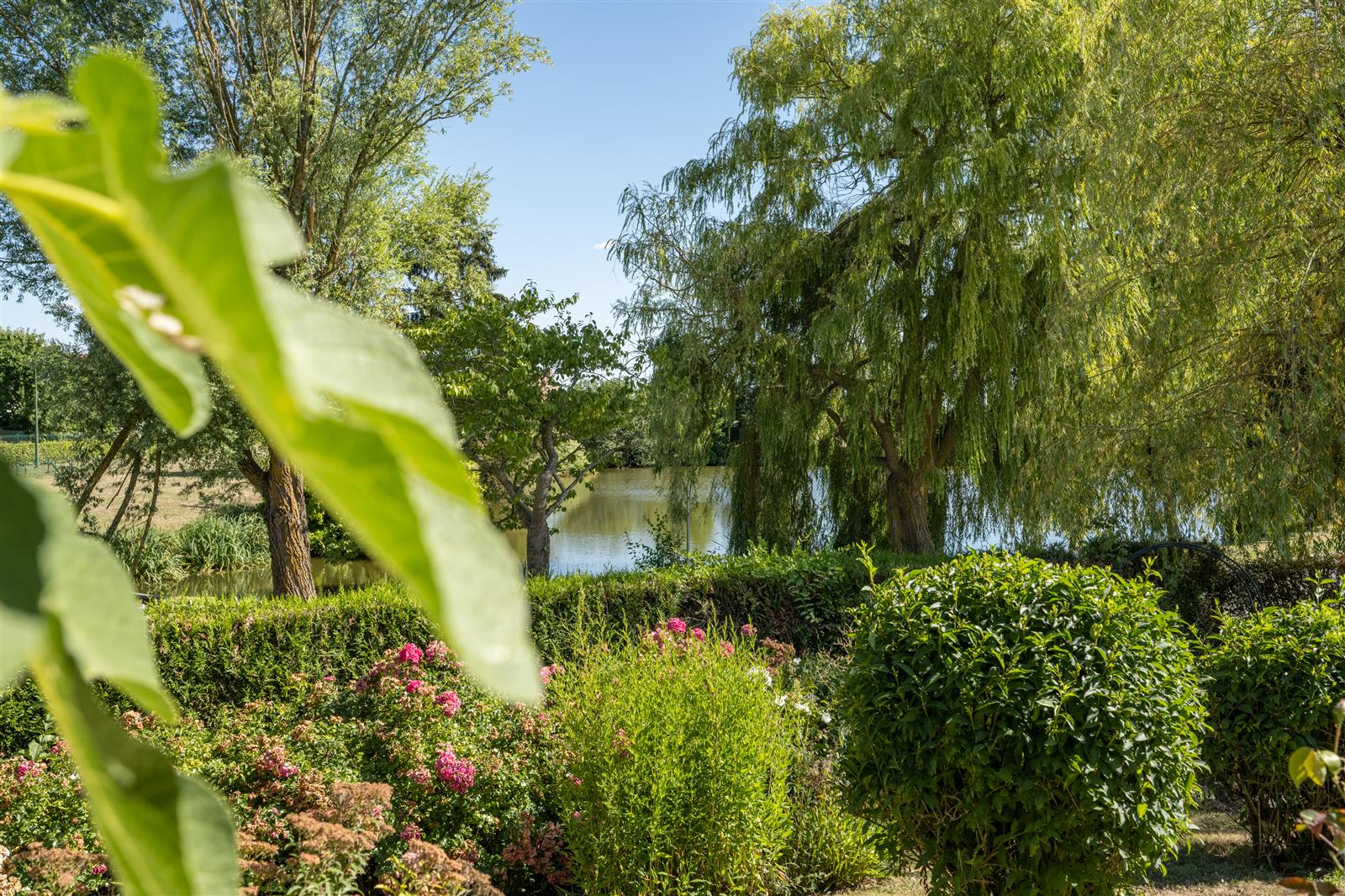 X.RENOUX_Gîte_Prot_Les_Roches_Chèvreville_783_HD