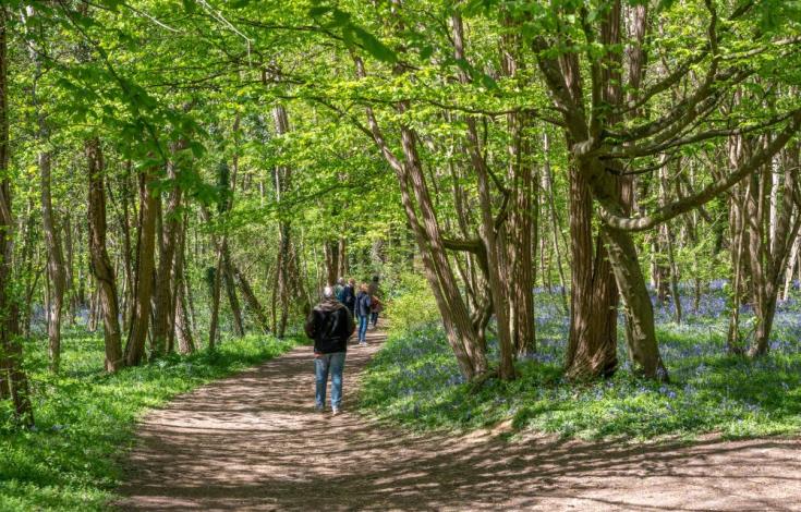 X.RENOUX_OT_Bain_Foret_Musical_Choisy-au-Bac