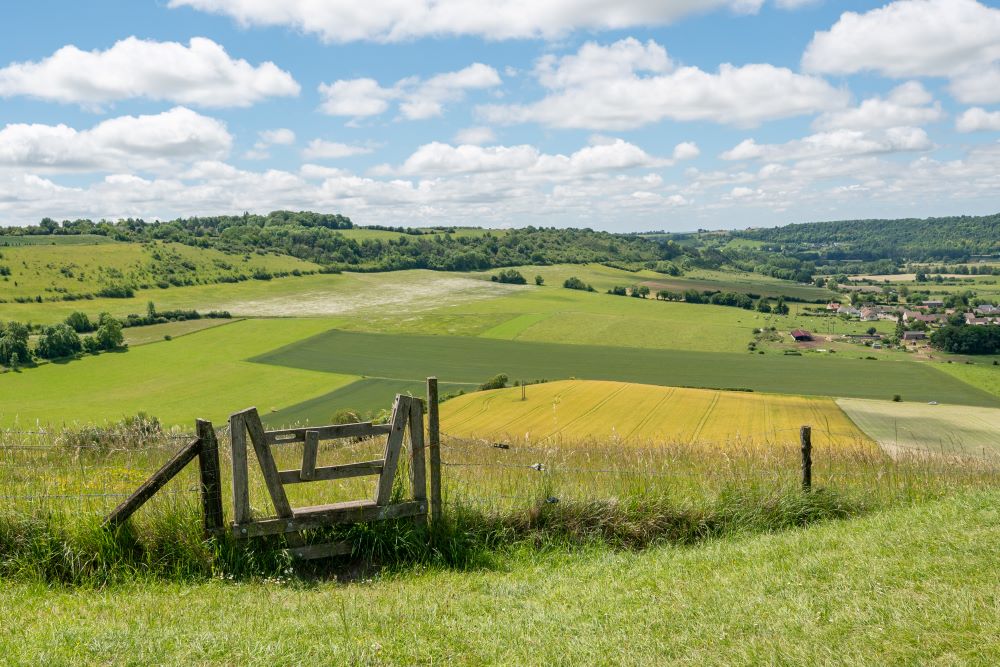 Mont Sainte Hélène - Saint-Pierre-ès-Champs