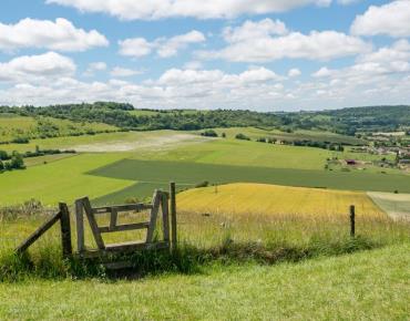 Mont-St-He_le_ne_Saint-Pierre_es_Champs