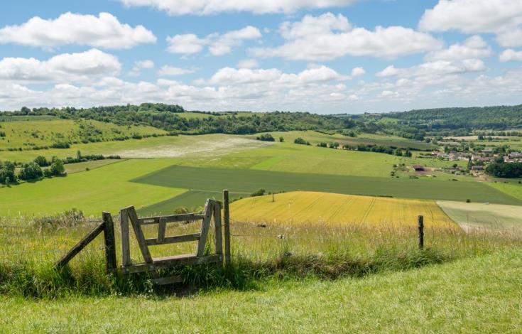 Mont-St-He_le_ne_Saint-Pierre_es_Champs