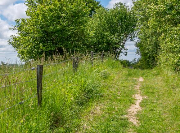 X.RENOUX_OT_Mont-St-Helene_Saint-Pierre_es_Champs