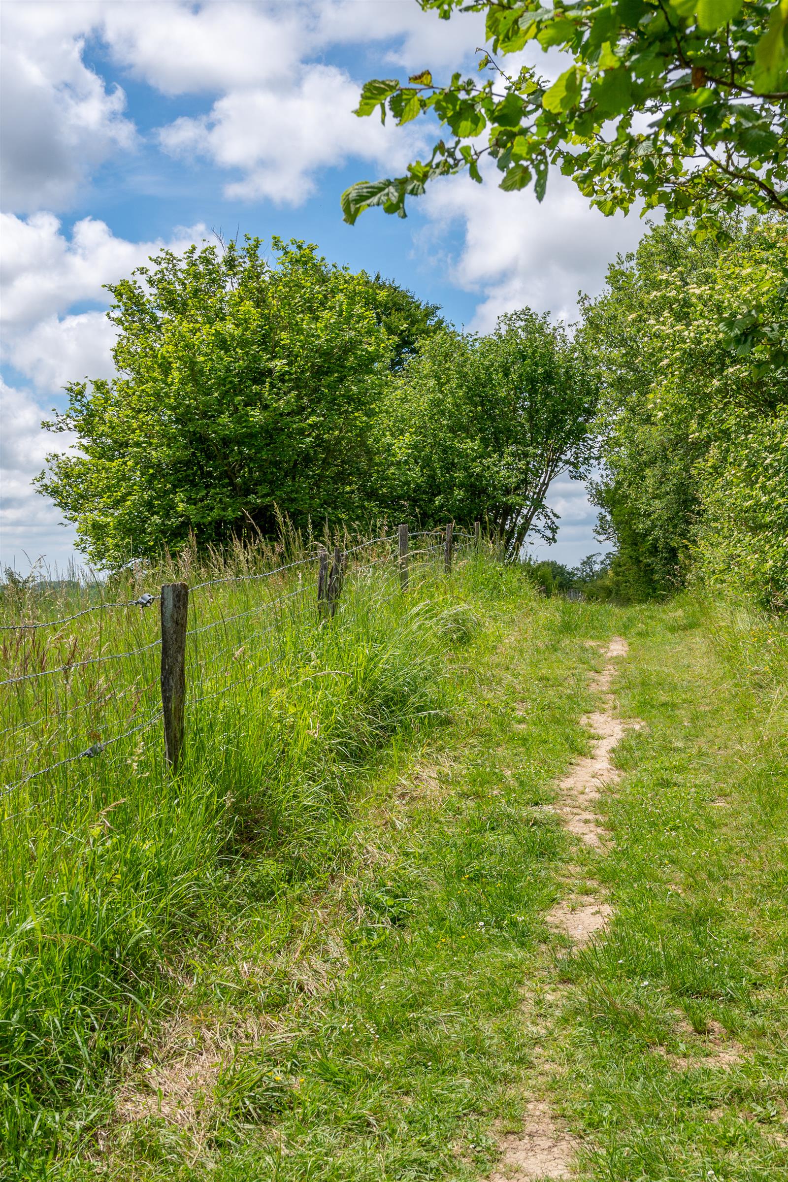 X.RENOUX_OT_Mont-St-Helene_Saint-Pierre_es_Champs