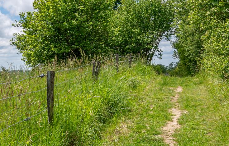 X.RENOUX_OT_Mont-St-Helene_Saint-Pierre_es_Champs