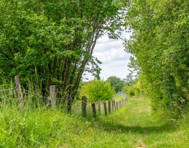 Saint-Pierre_es_Champs