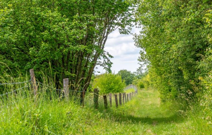 Saint-Pierre_es_Champs