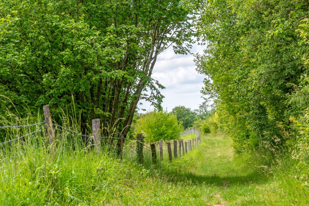 Saint-Pierre_es_Champs