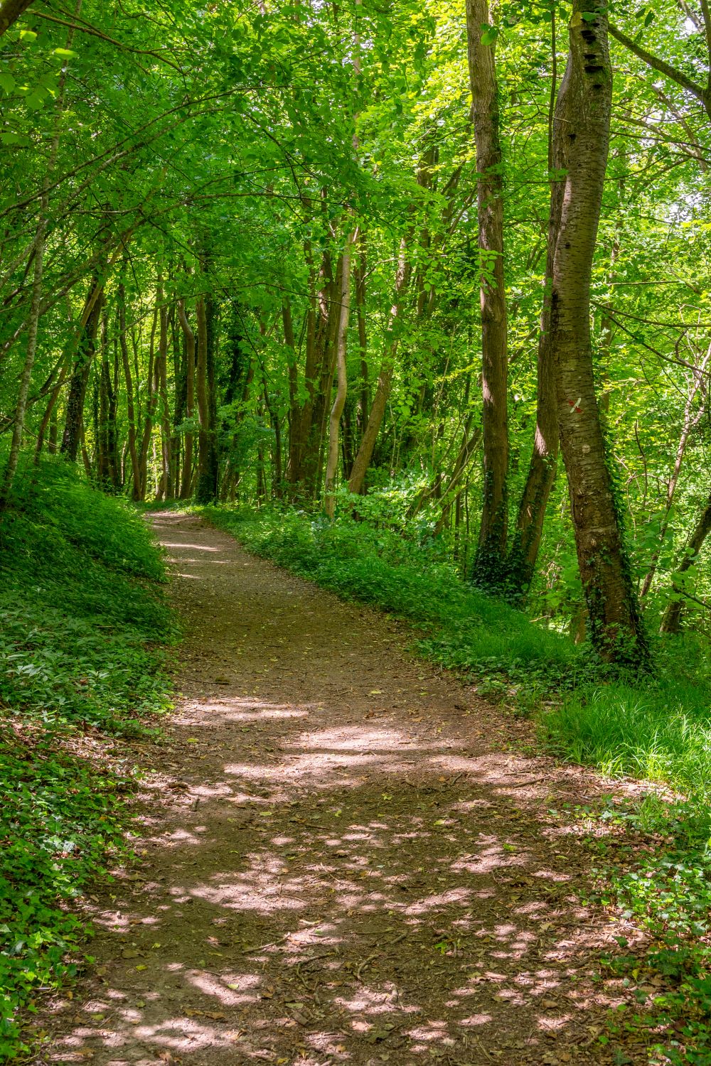 Mont Sainte Hélène - Saint-Pierre-ès-Champs