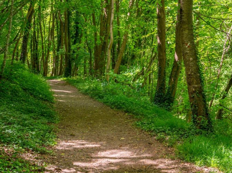 Mont-St-Helene_Saint-Pierre_es_Champs