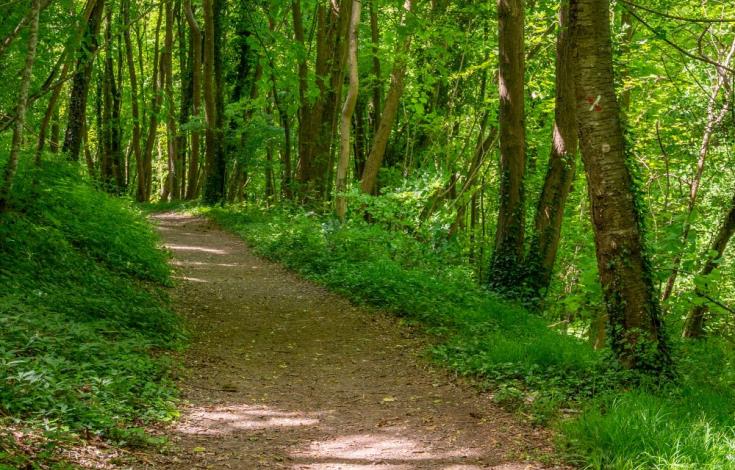 Mont-St-Helene_Saint-Pierre_es_Champs