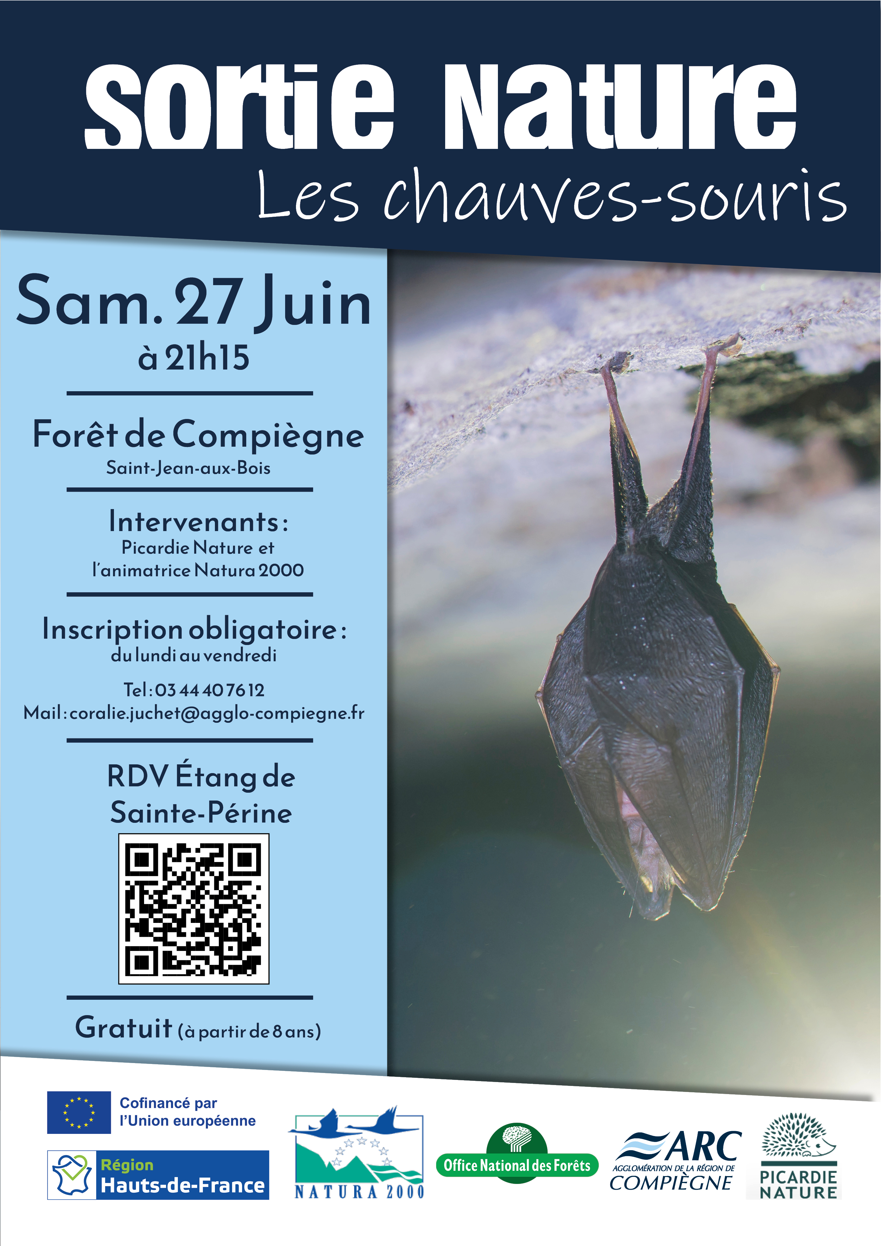 Sortie nature | Les chauves-souris