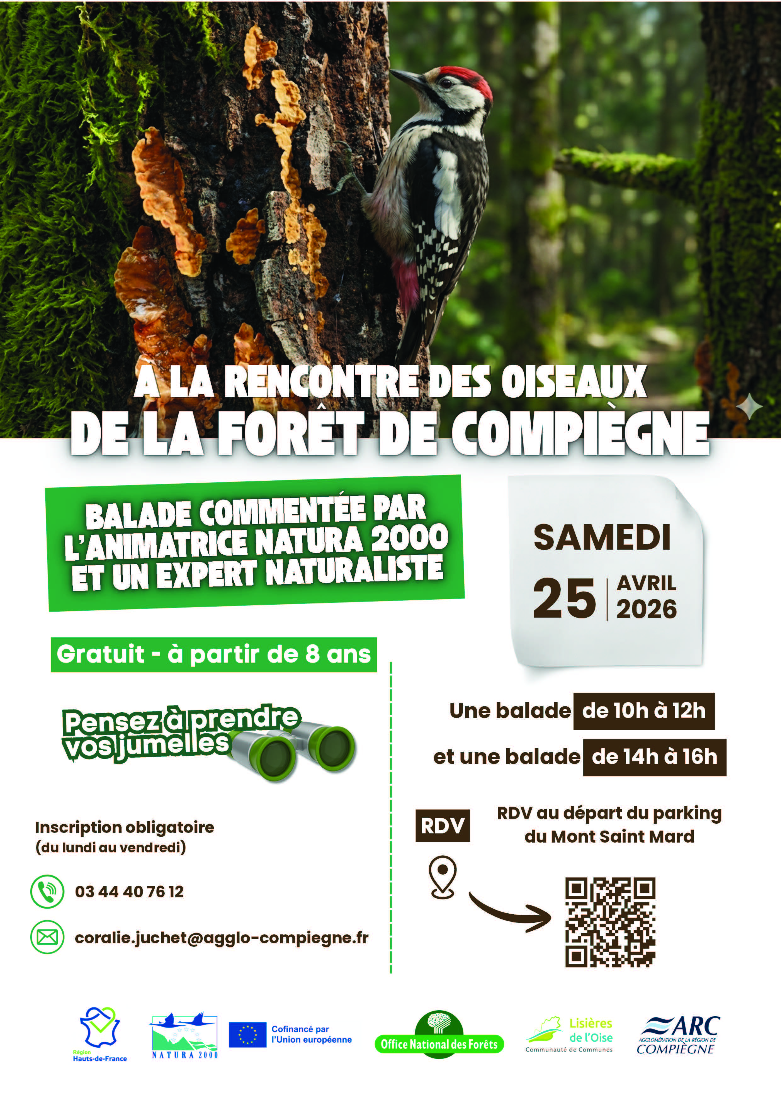 À la rencontre des oiseaux de la forêt de Compiègne