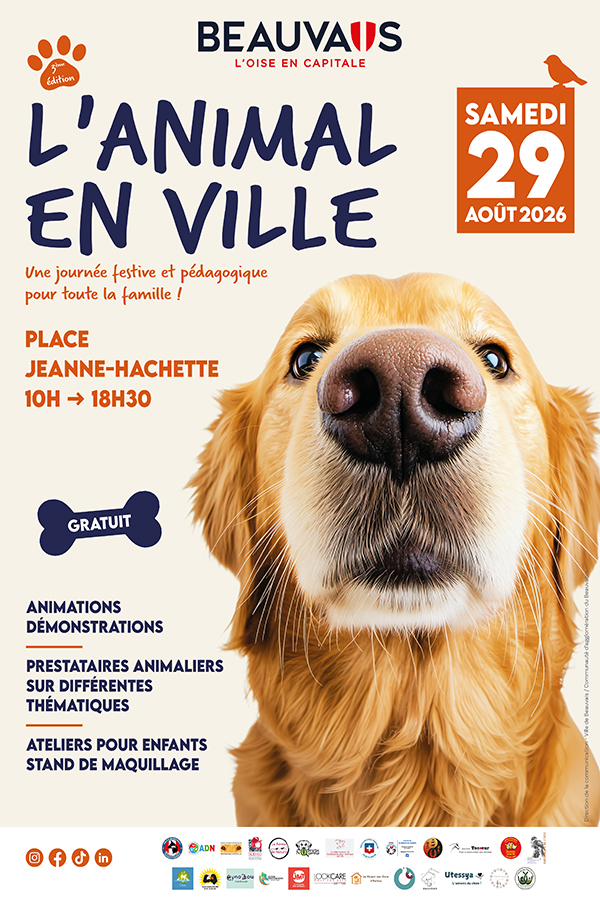 animal-ville