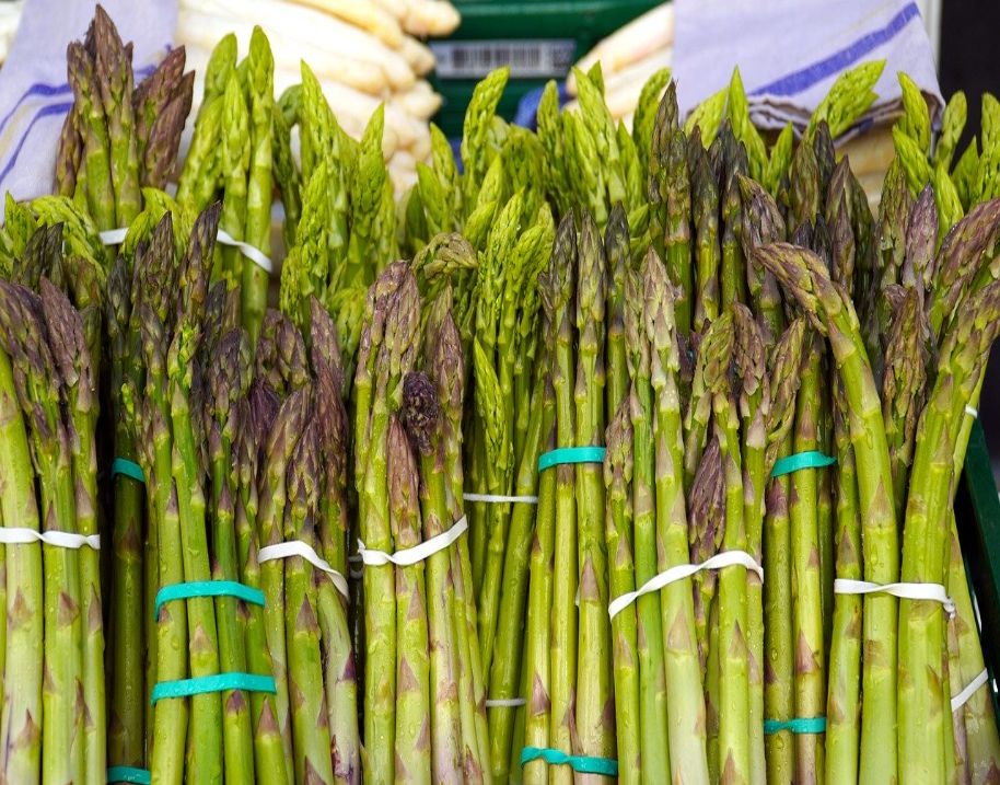 asparagus-5041774_1280 (1)