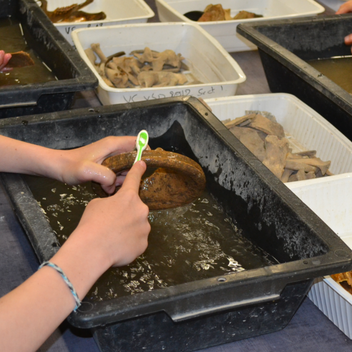 atelier_MAO_archéo_au_labo