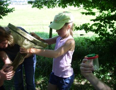 sortie biodiversité