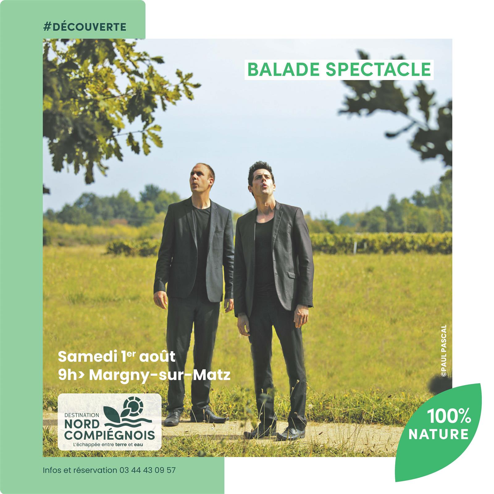 chanteurs oiseaux 