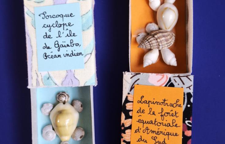 JEU(X)DIS D’ÉTÉ | Atelier créatif "Chimère coquillage"