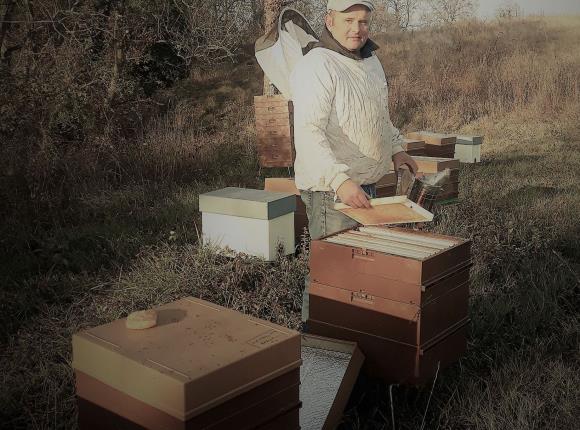 comptoir d'abeilles - 31-12-2032 -  comptoir-d'abeilles