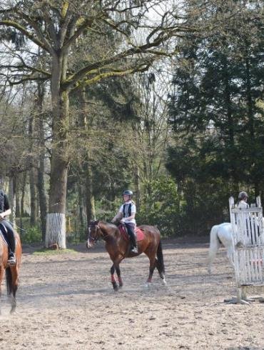 cours_chevaux_2-768x528