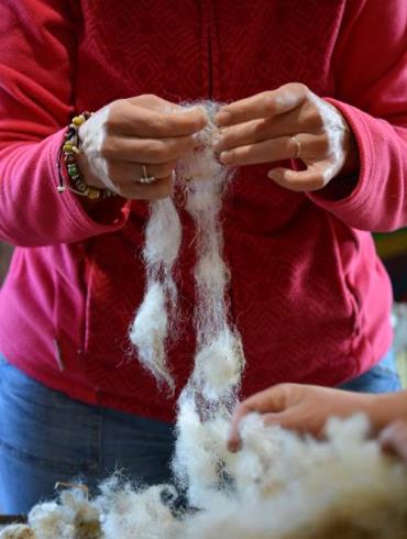 filage laine ferme larbre a poule 