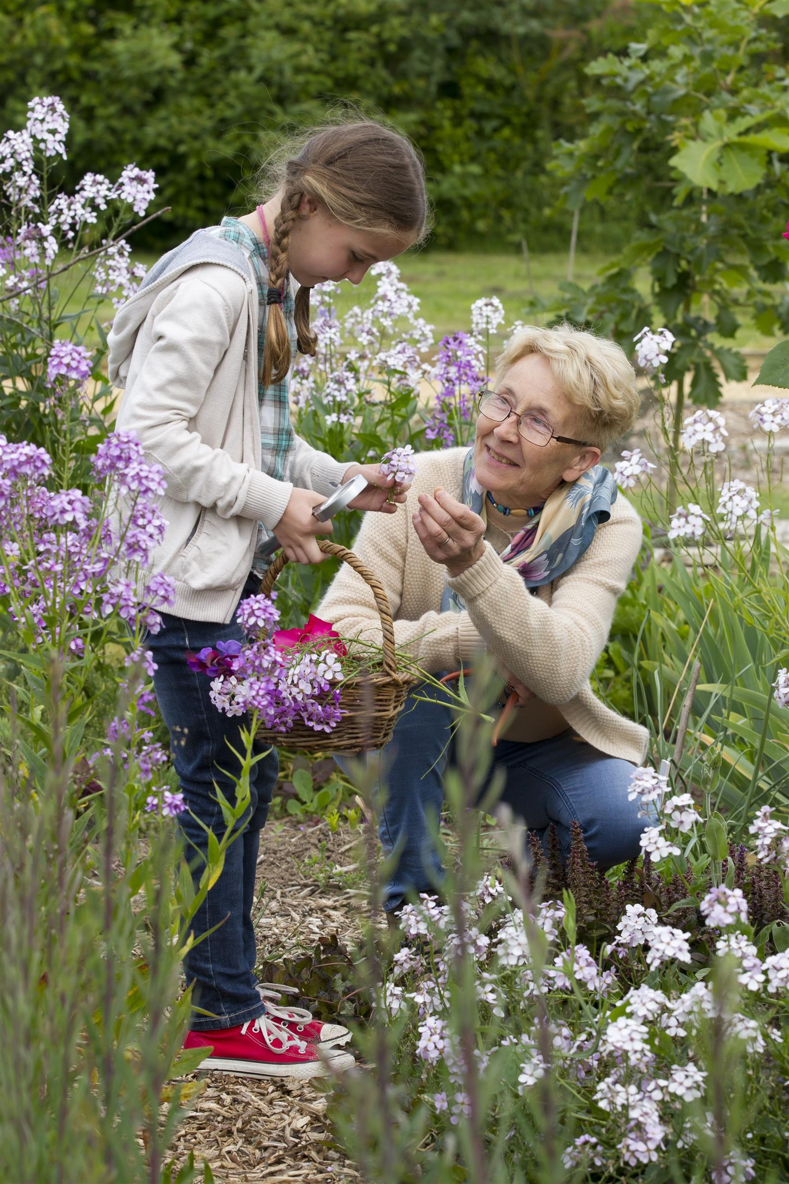 gite les fleurs en liberte, laure hache, serans