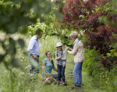 gite les fleurs en liberte, laure hache, serans