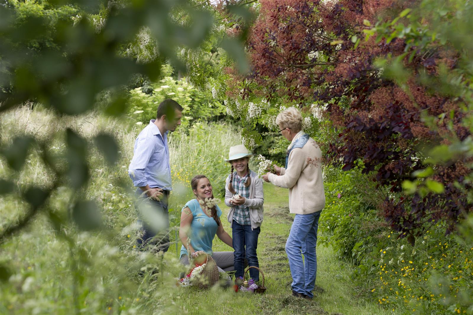 gite les fleurs en liberte, laure hache, serans