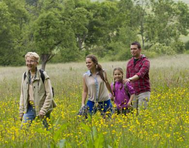gite les fleurs en liberte, laure hache, serans