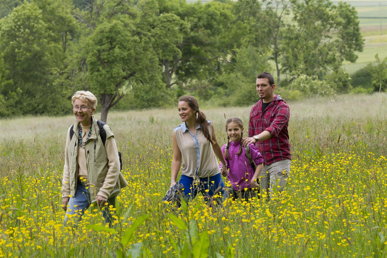 gite les fleurs en liberte, laure hache, serans