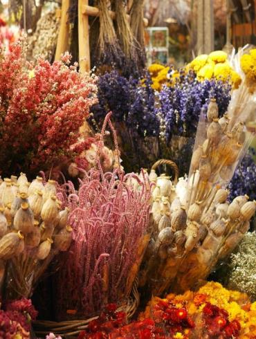 flowers-878822_1280 (1)