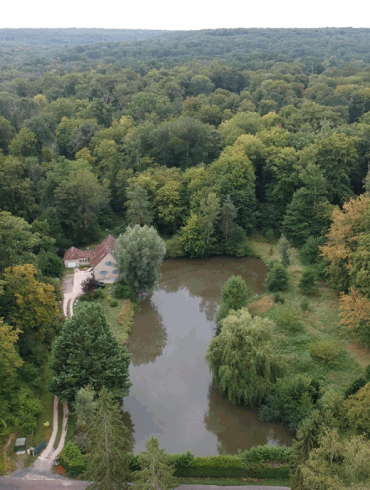 Nid dans la forêt_Site internet