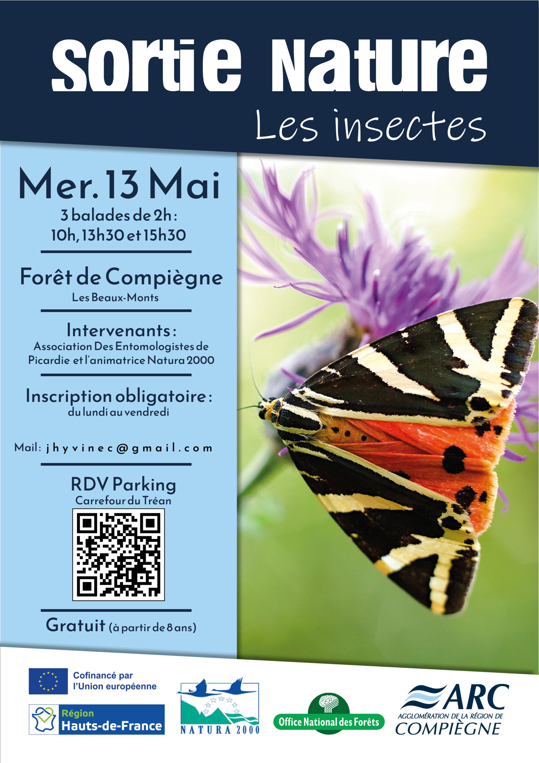 Sortie insectes en forêt de Compiègne