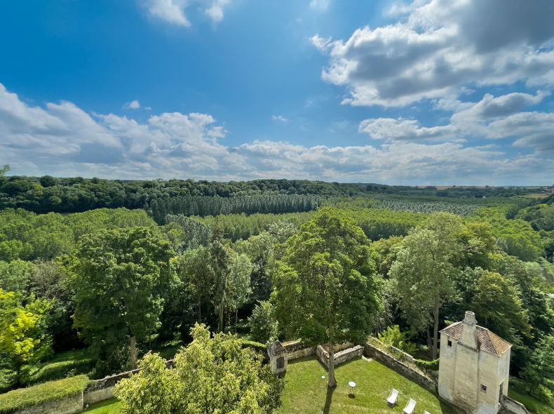 Haute Vallée - Donjon de Vez