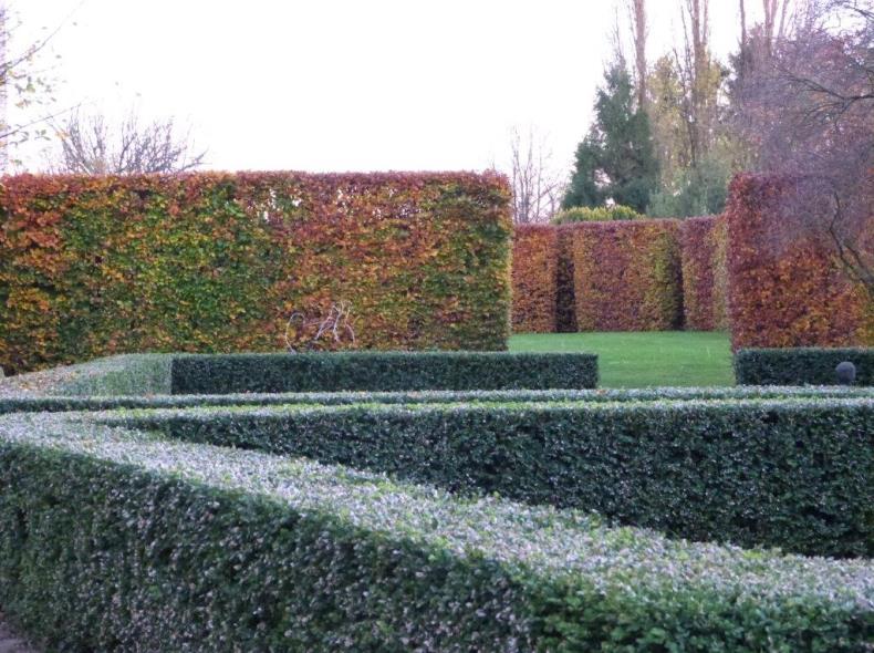 manoir_du_plessis_au_bois - 31-12-2032 - manoir du Plessis au Bois (9)