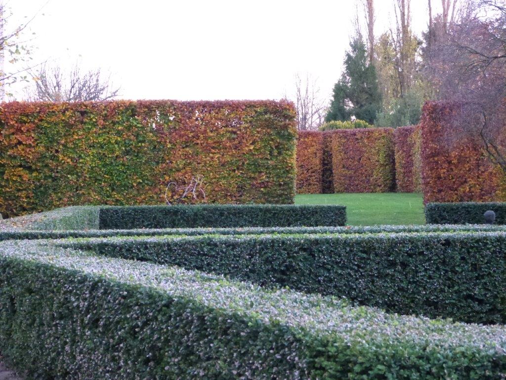 manoir_du_plessis_au_bois - 31-12-2032 - manoir du Plessis au Bois (9)