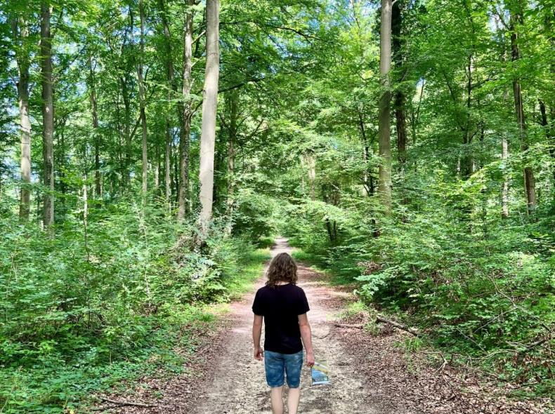 Remontez le temps en forêt de Hez