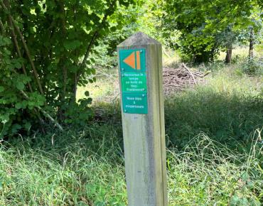 Remontez le temps en forêt de Hez