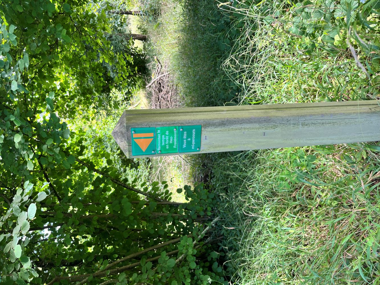 Remontez le temps en forêt de Hez