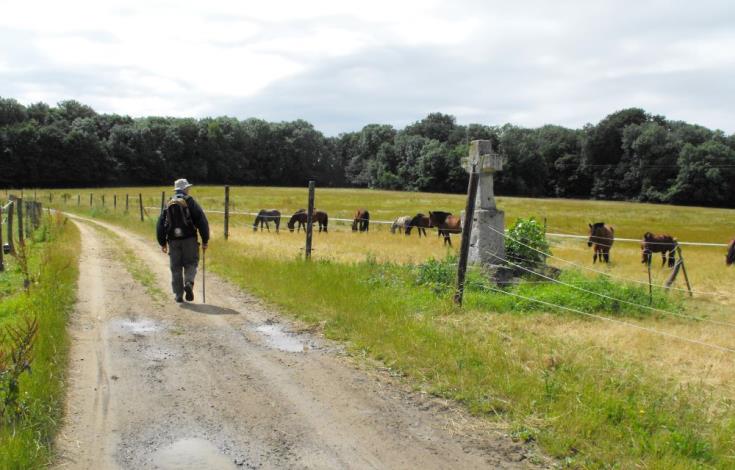 La montagne d'Hauette