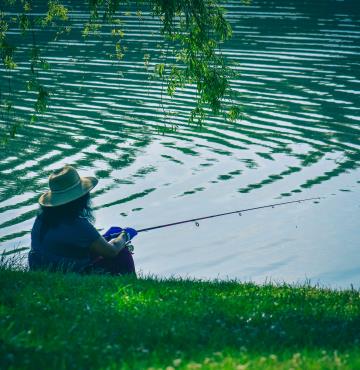 pexels-chris-f-4997361